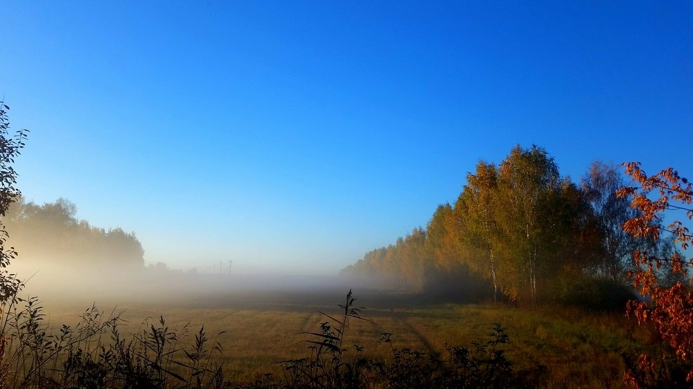 Photograph by Борис Каширин