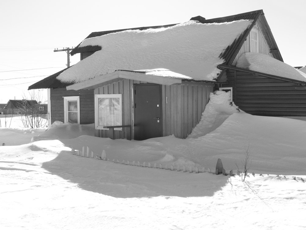 Photo #4693659