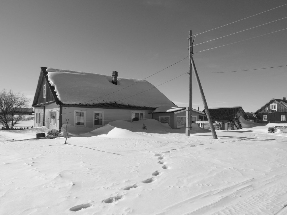 Photo #4693660