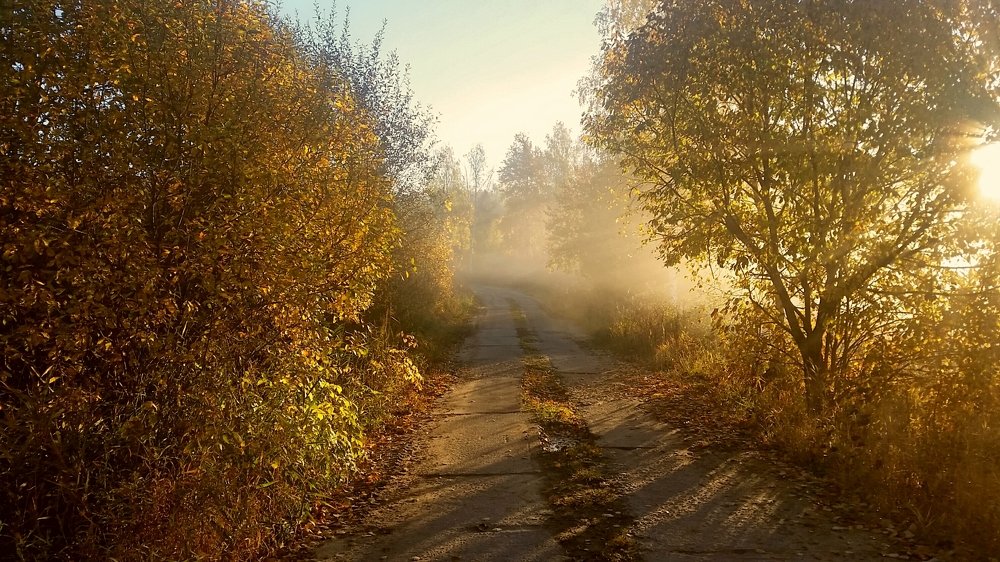 Утро туманное