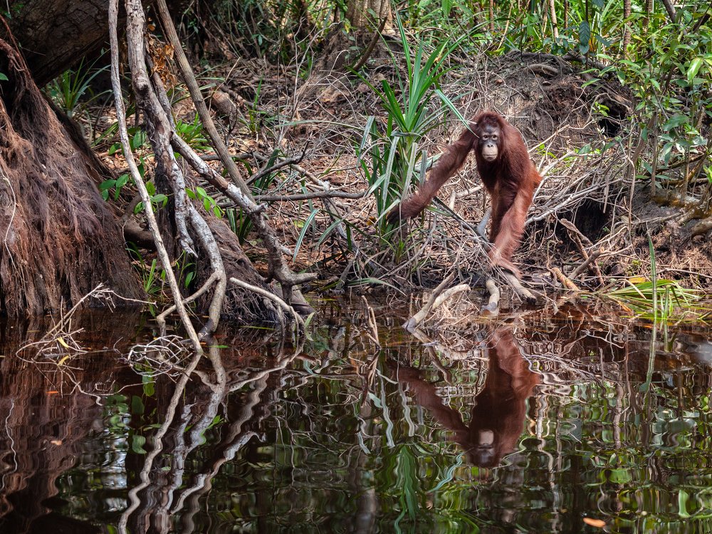 Photograph by Katya Tsvetkova