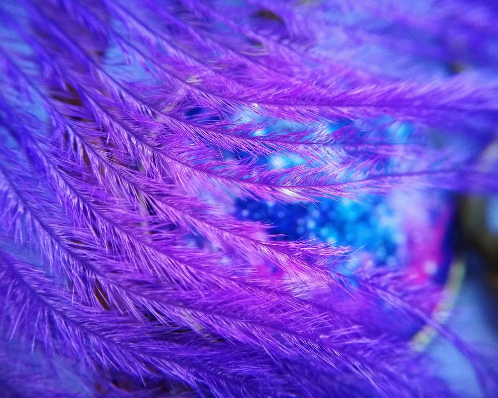 Photograph by Наталья Стальмакова