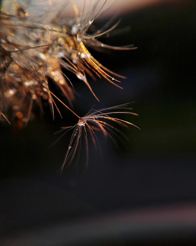 Photograph by Наталья Стальмакова