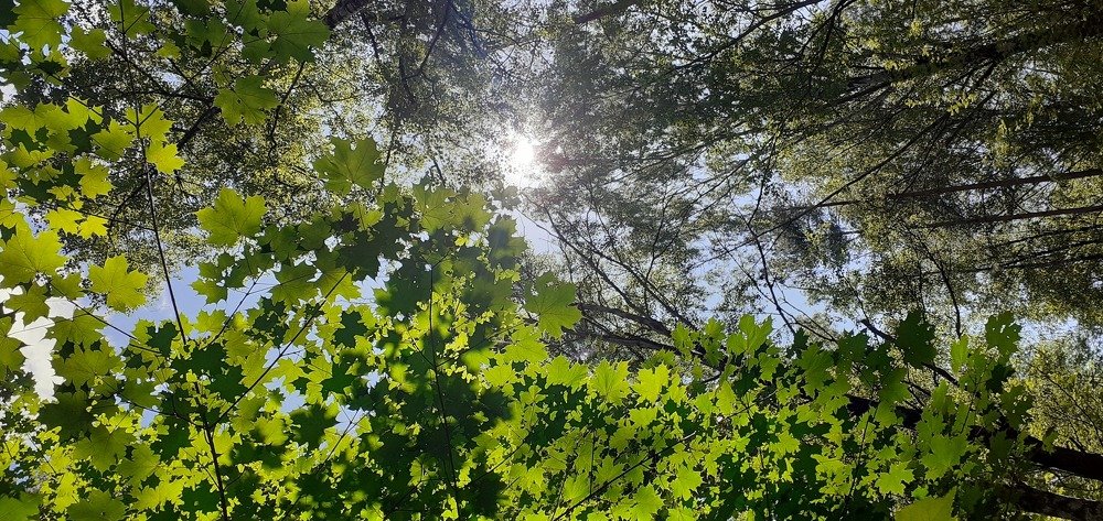 Photograph by Любовь Макарова