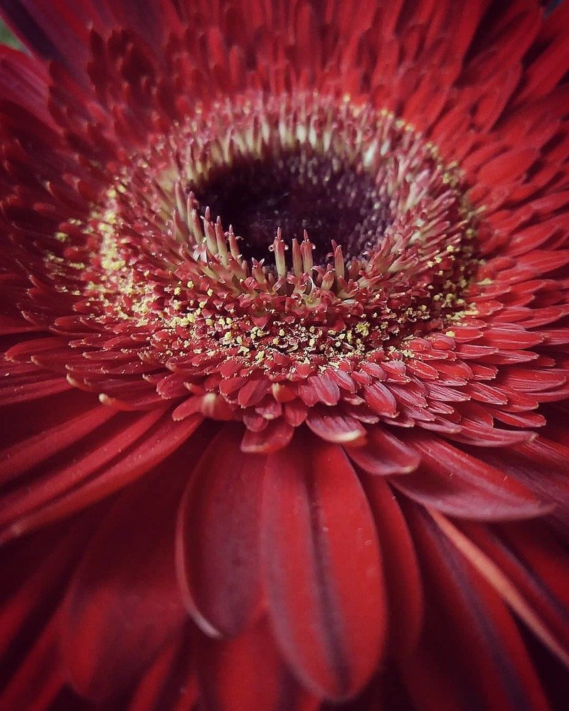 Photograph by Елена
