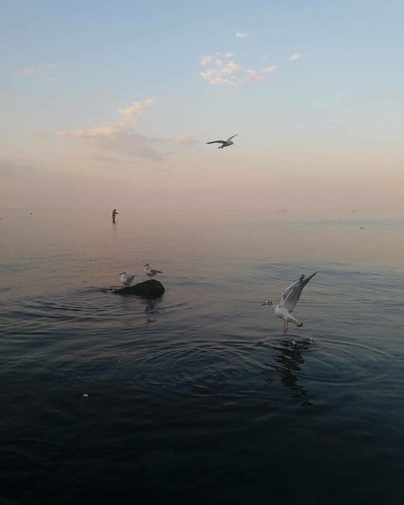 Photograph by Елена
