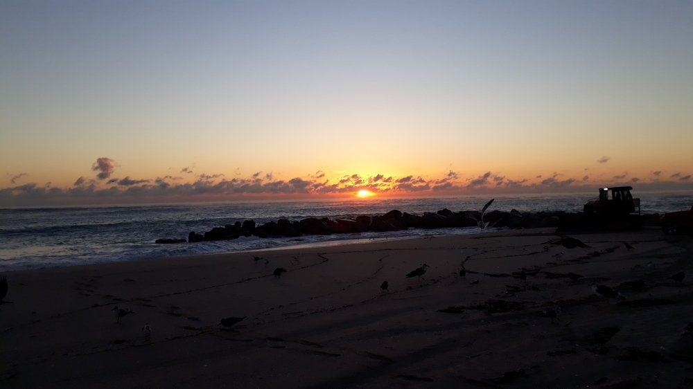 Photo #4693889