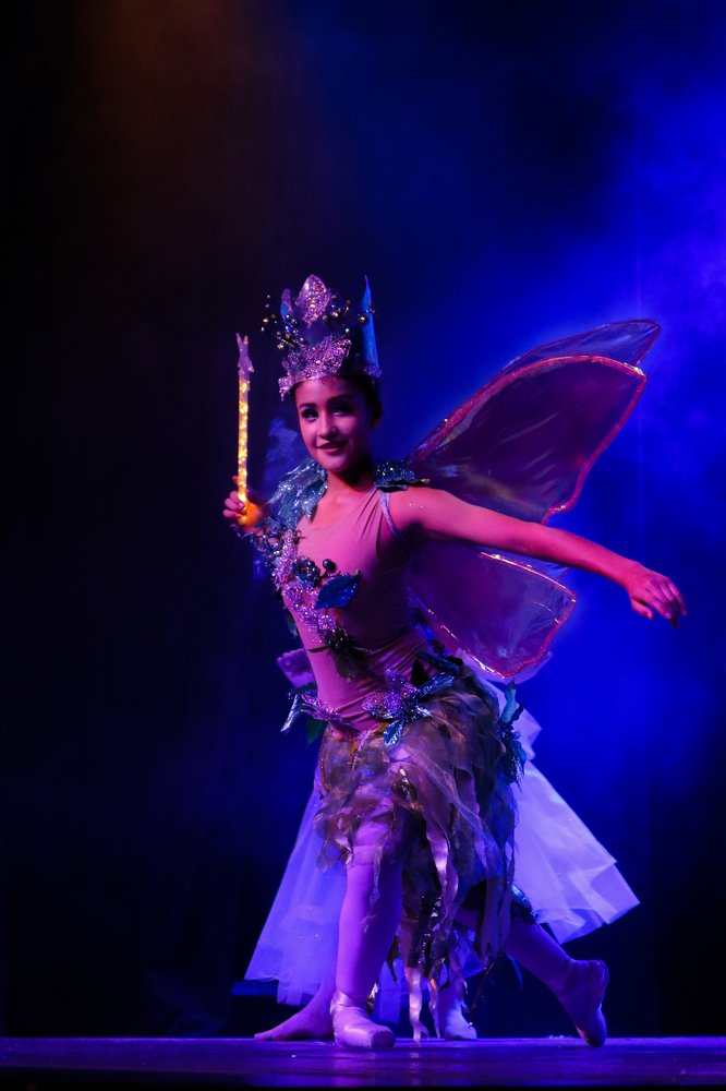 CENICIENTA, UN SUEÑO HECHO REALIDAD