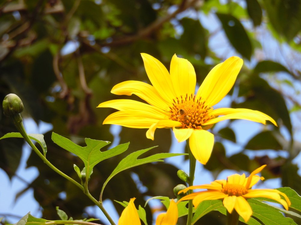 Photograph by Juan Sebastian Rincón