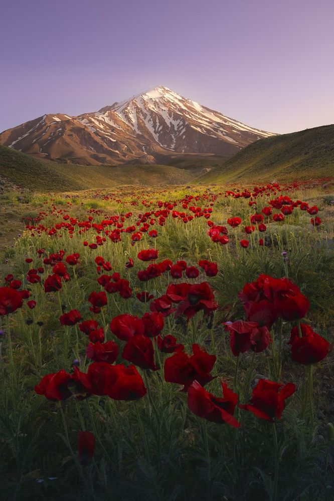 Photograph by Abbas Kalantar