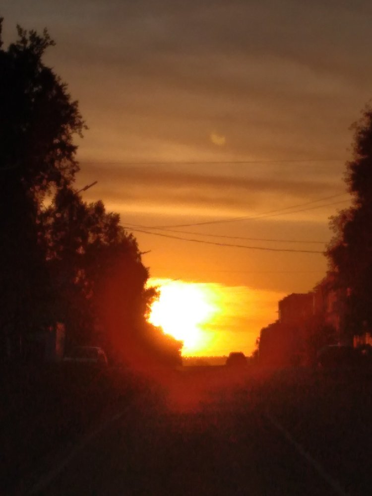 Photograph by Теселкина