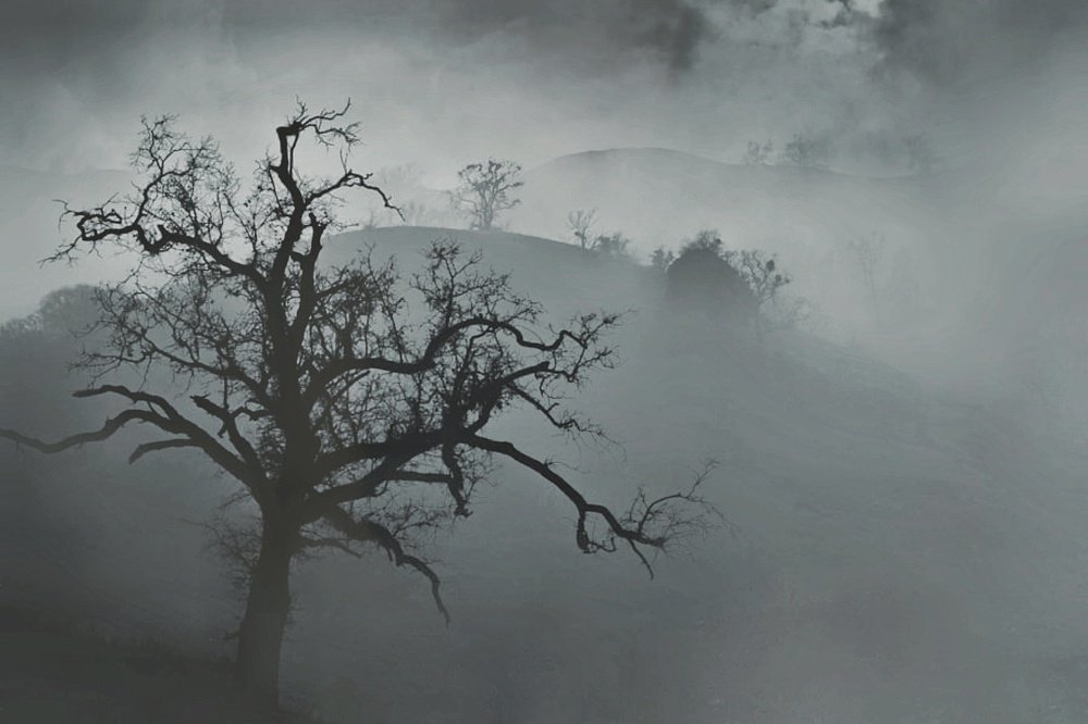 Photograph by Atul mehta