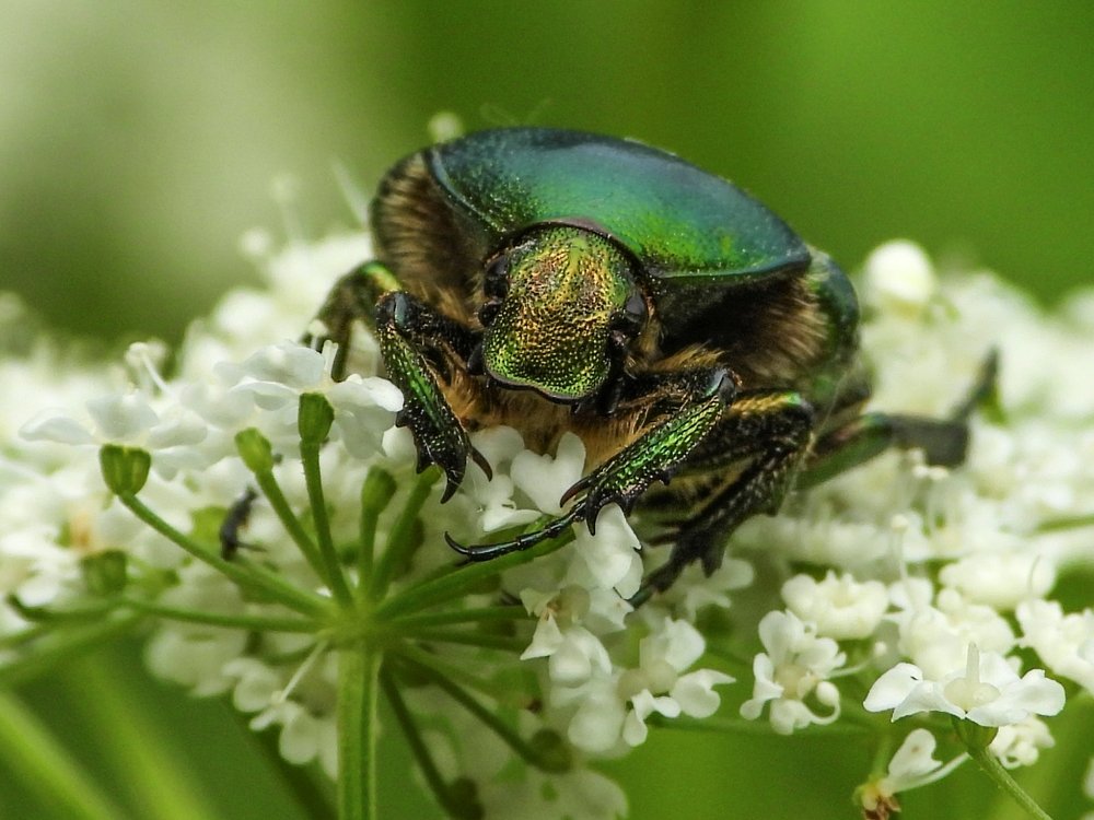 Ну, здравствуйте...