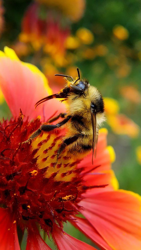 Photograph by Виктория Сапельникова