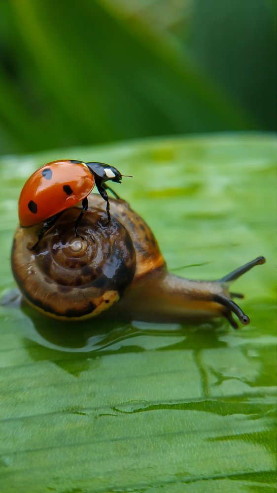 Photograph by Виктория Сапельникова