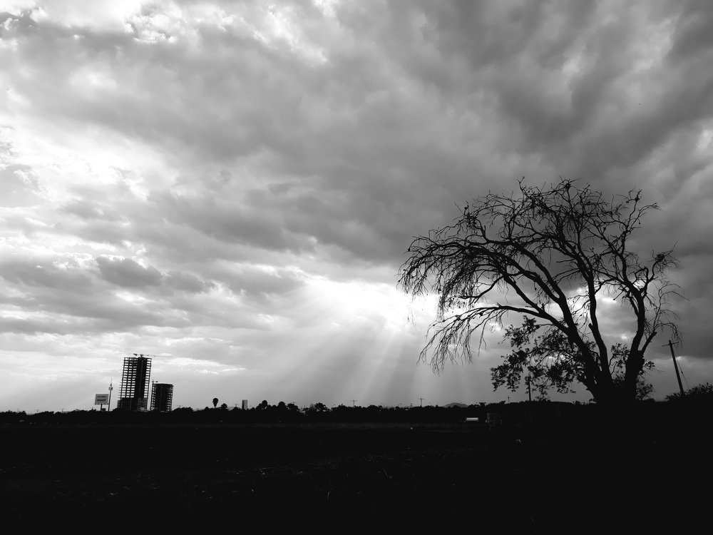 Photo #4694297