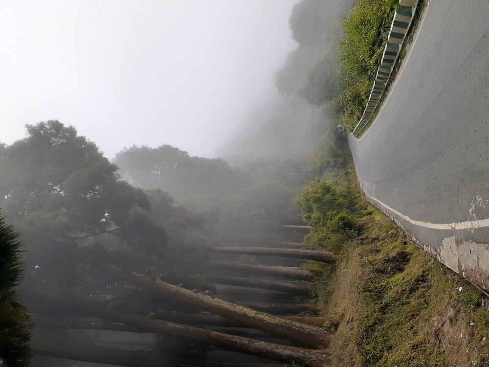 Photo #4694319