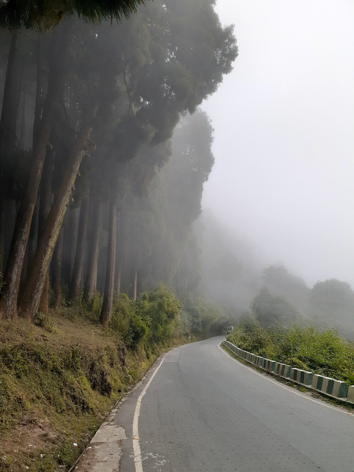 Photo #4694319