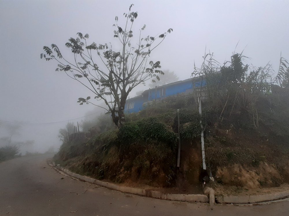 Photograph by Srijata Datta