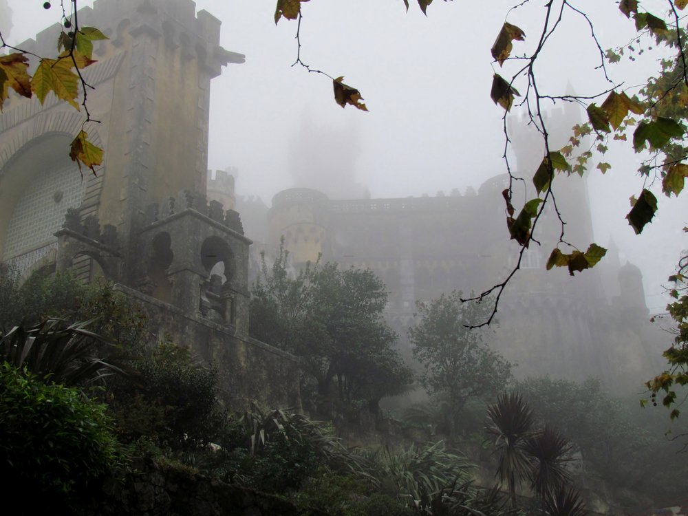 Photo #4694351