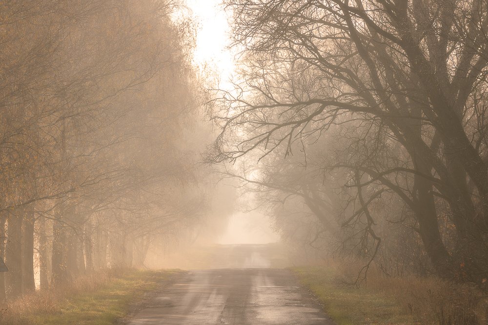 Photograph by Юлия Лаптева