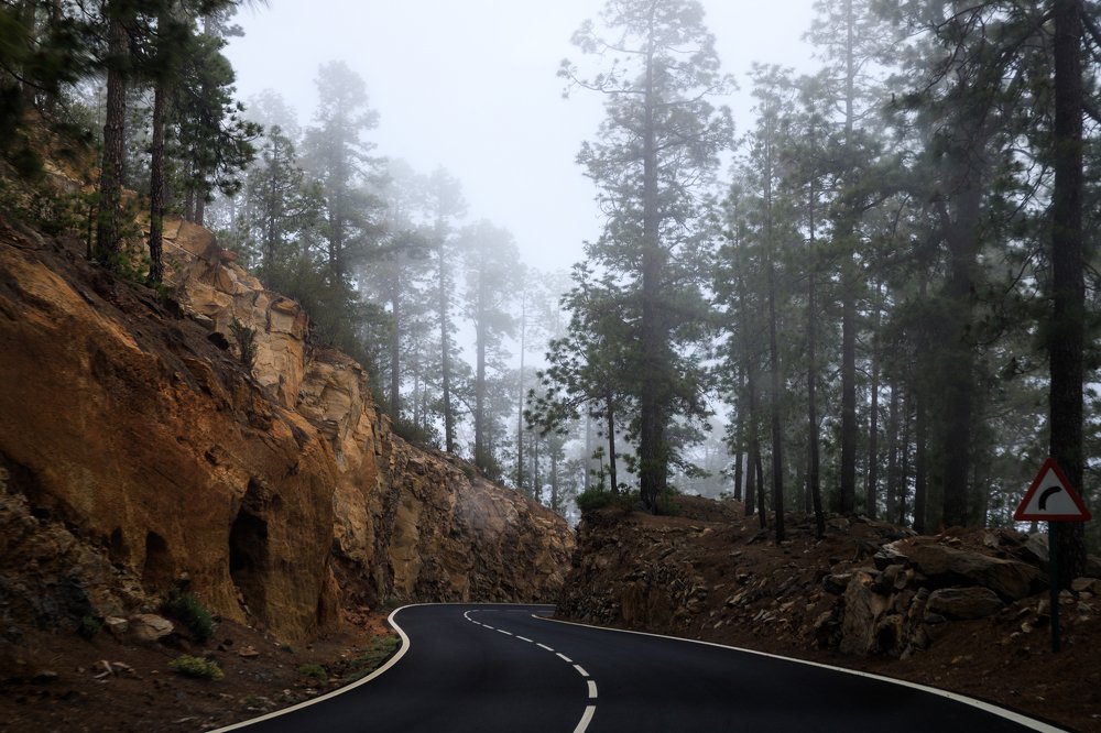 Фотография автора Гудкова Светлана