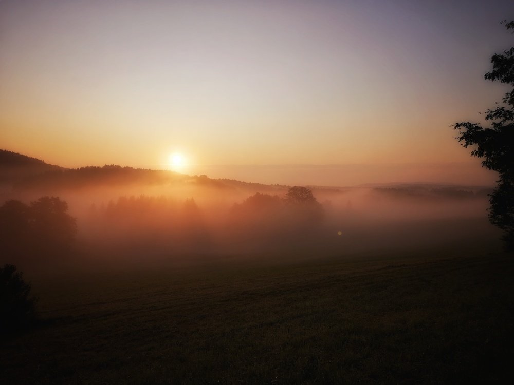 Photograph by Eva Wiedemann