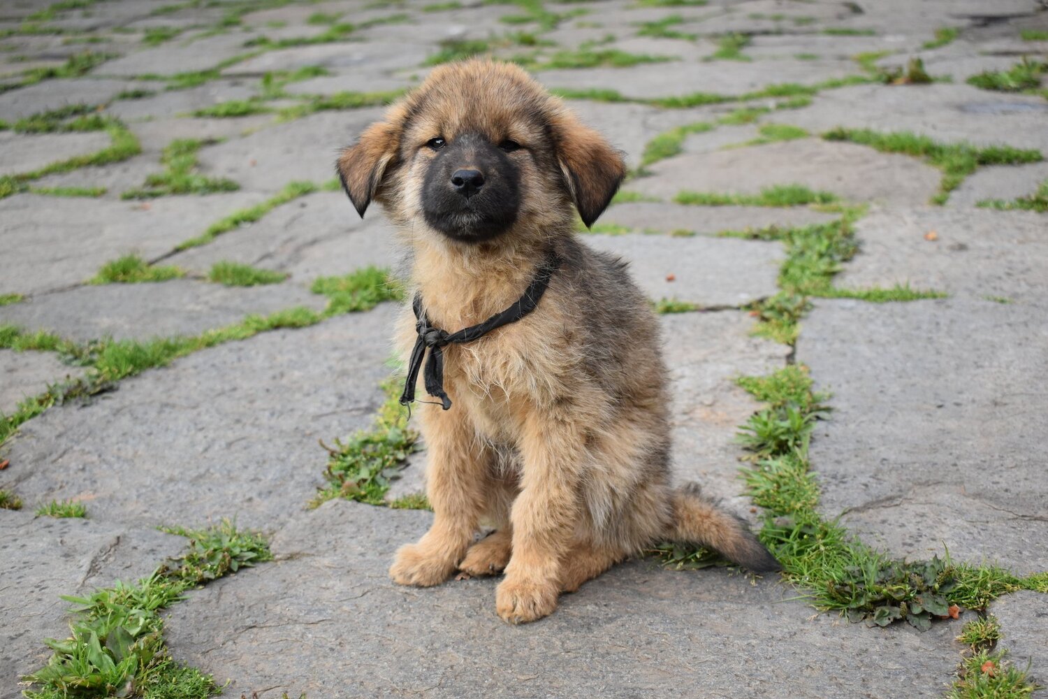 Photo #4694533