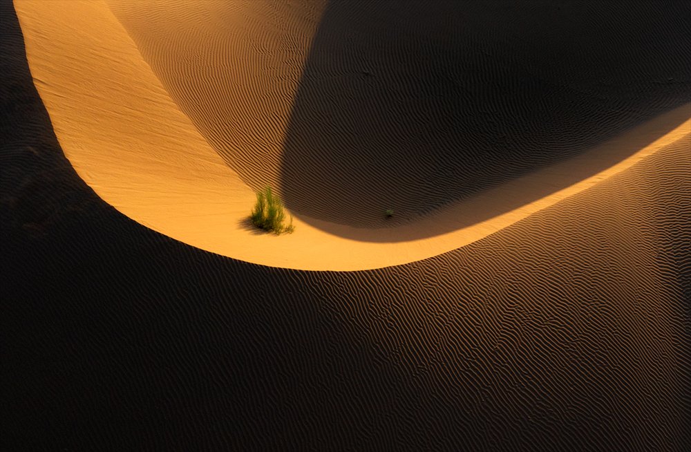 Photograph by  Ahmad abbasi