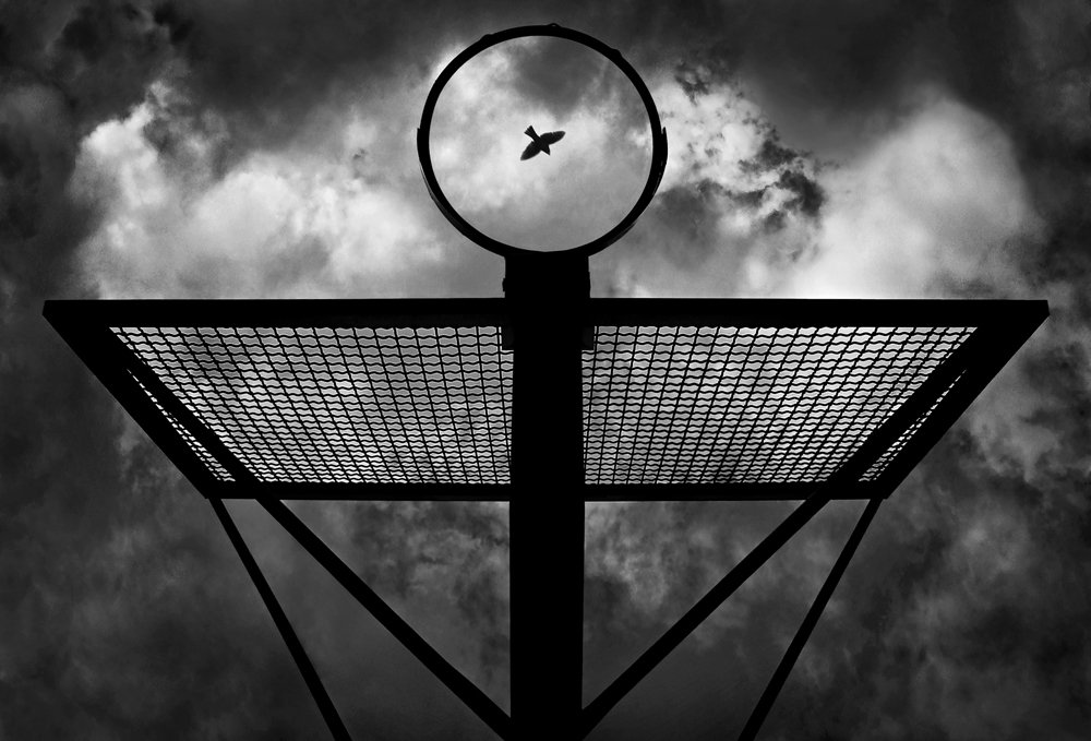 Photograph by Mohammad Dadsetan