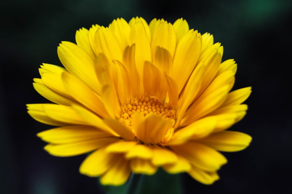 Фотография автора Юрий Фефилов