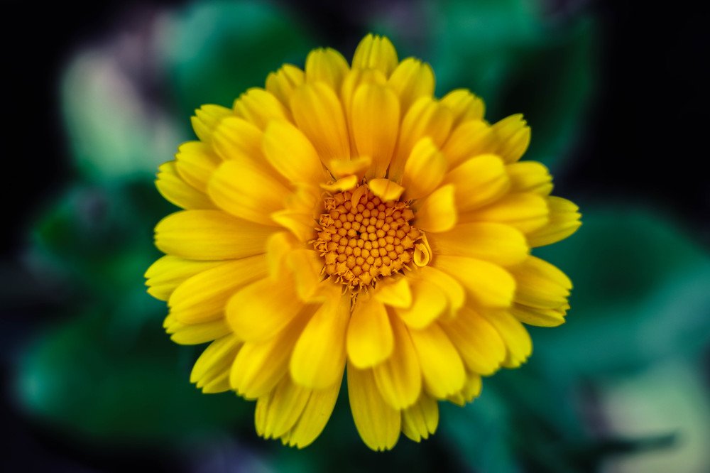 Фотография автора Юрий Фефилов