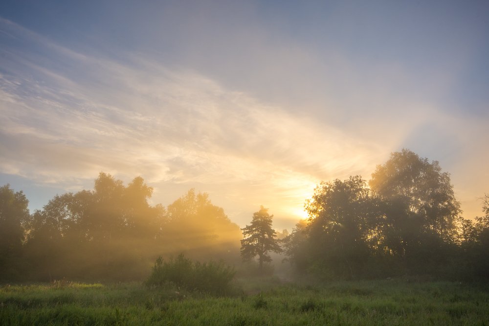 Photograph by Жданов Дмитрий