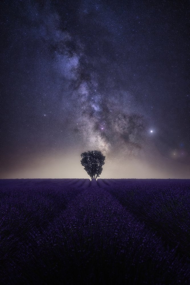 Starry night in Provence