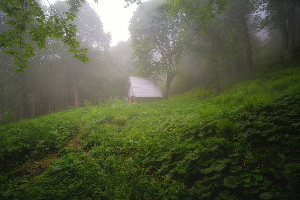 Photograph by Олеся Федосеенкова