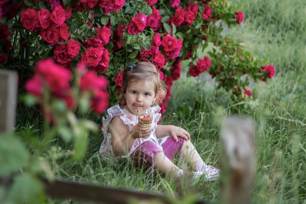 Photograph by Диана Лукашевич