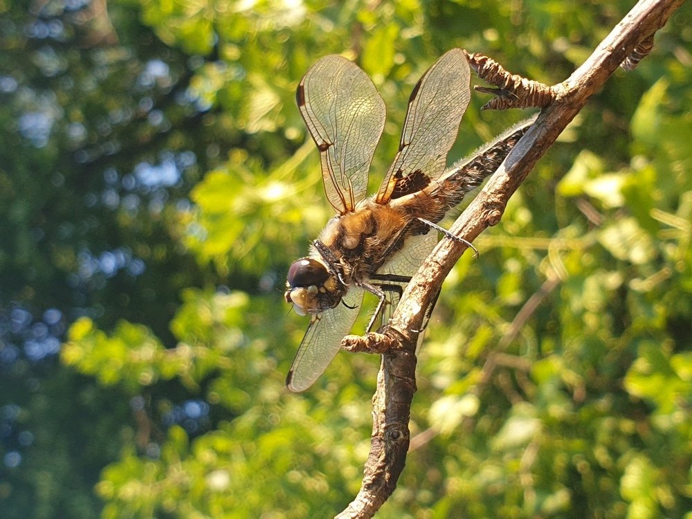 Photograph by Полина Карпова