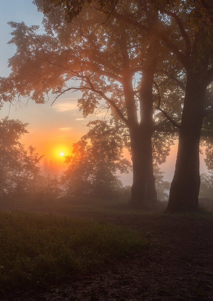 Фотография автора Карепанов Евгений