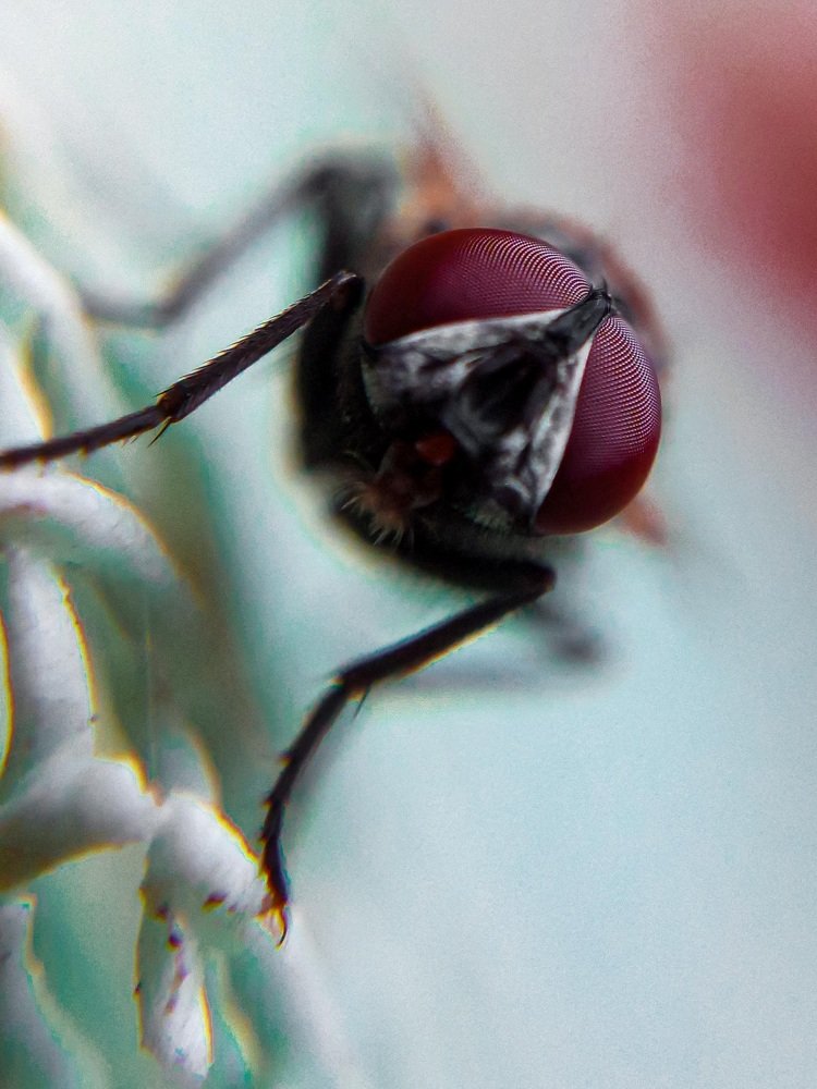 Photograph by Desikan Venkataraghavan