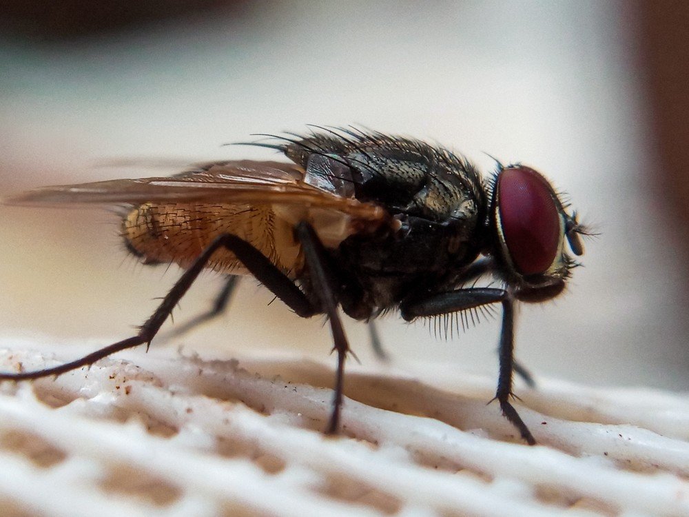 Photograph by Desikan Venkataraghavan