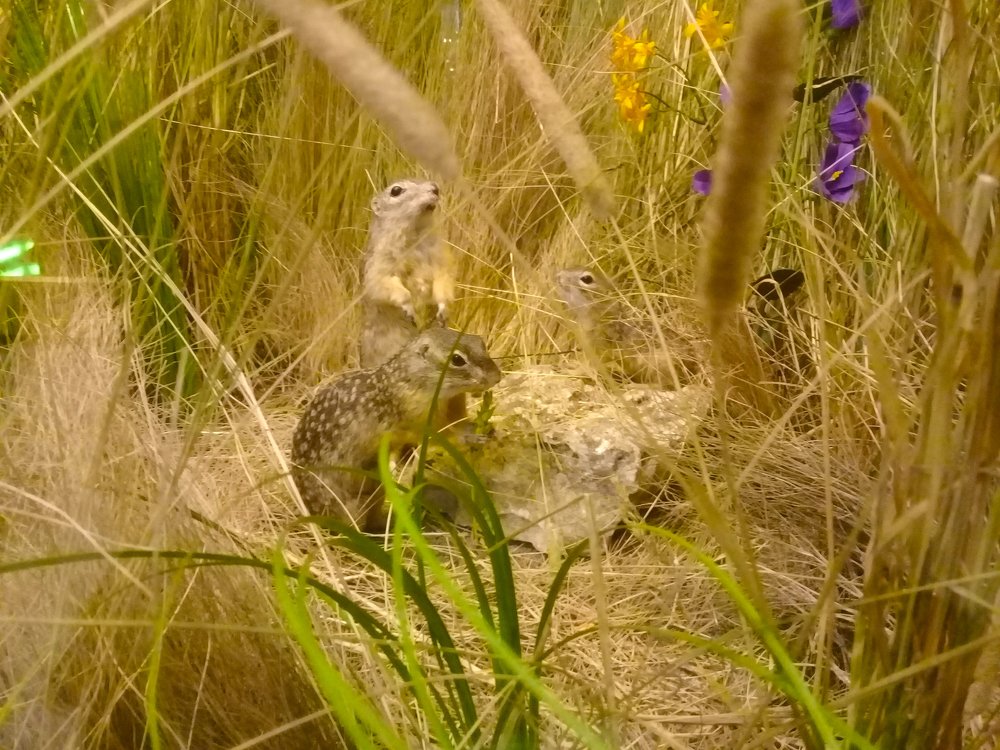 Photograph by Виктор Бурмистров