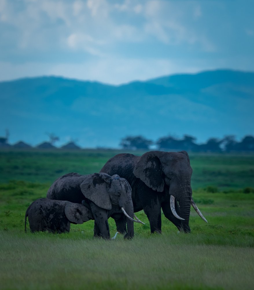 Фотография автора Ravikumar Kannaiyan