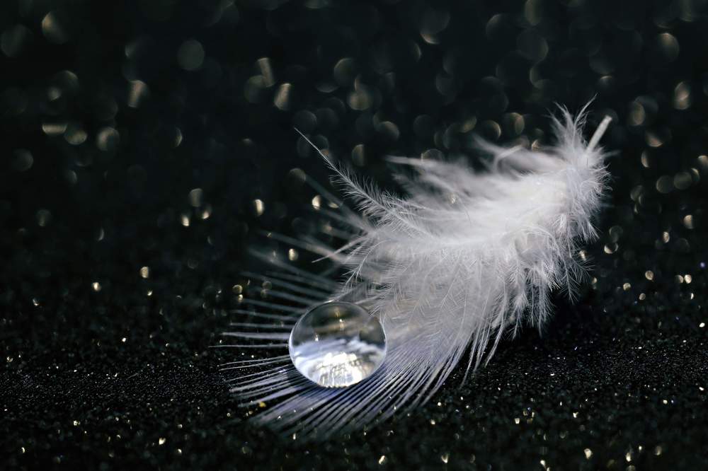 light feather