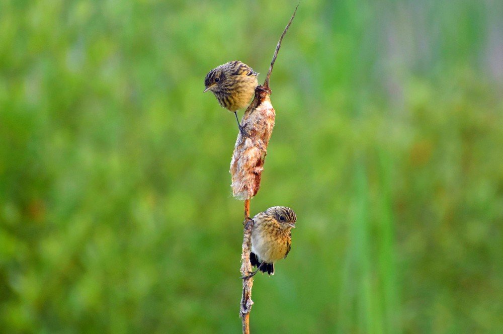 Photograph by Наталья Аржинт