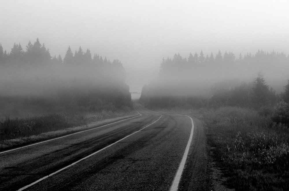 Photograph by Грязев Сергей