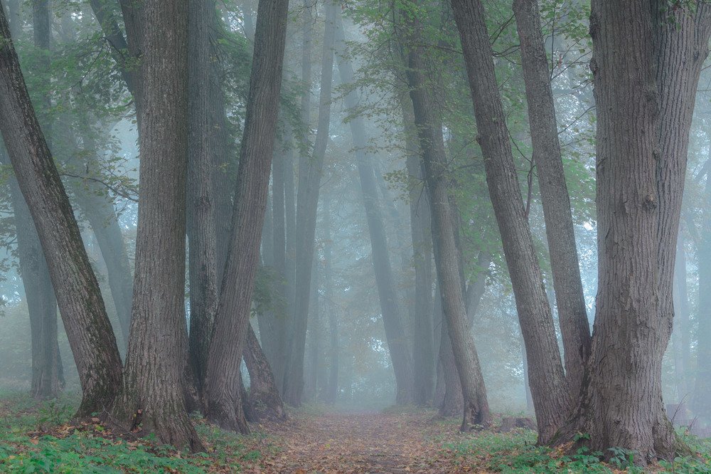 Photograph by Павел Ступак