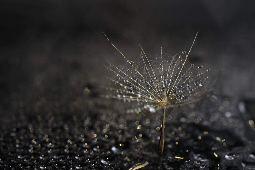 Photograph by Aida Makhmudova