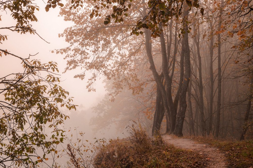 Photograph by Павел Ступак