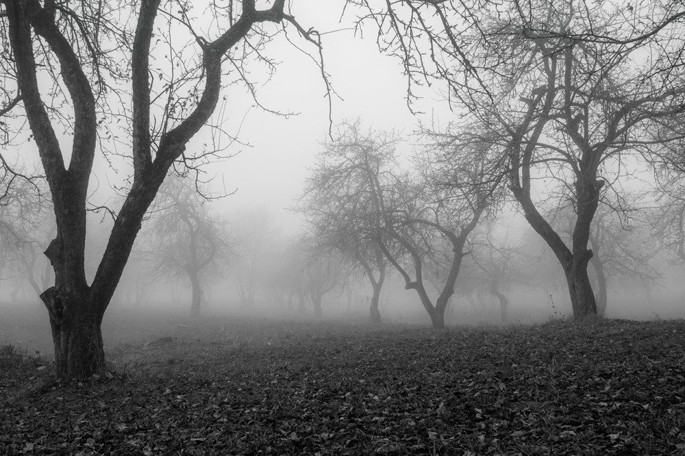 Photograph by Павел Ступак