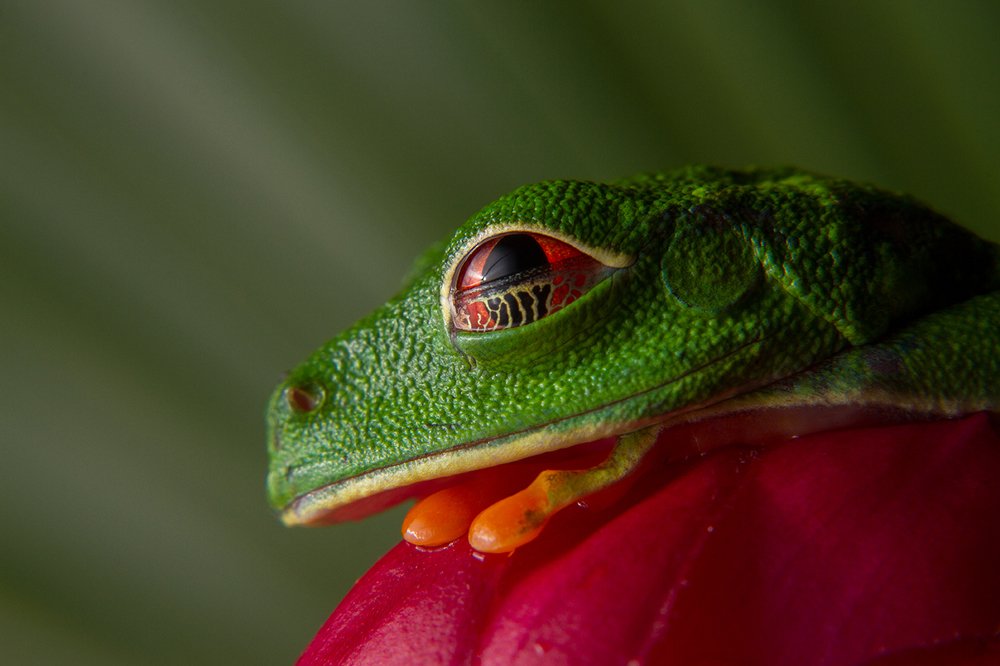 Photograph by Azaria Ruiz Villalobos